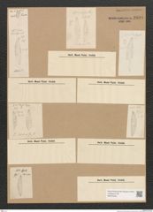 Diatomeae indet. Zeichnungen Sammlung Grunow Nr. 2899 (NHMW-BOT-W0370234)